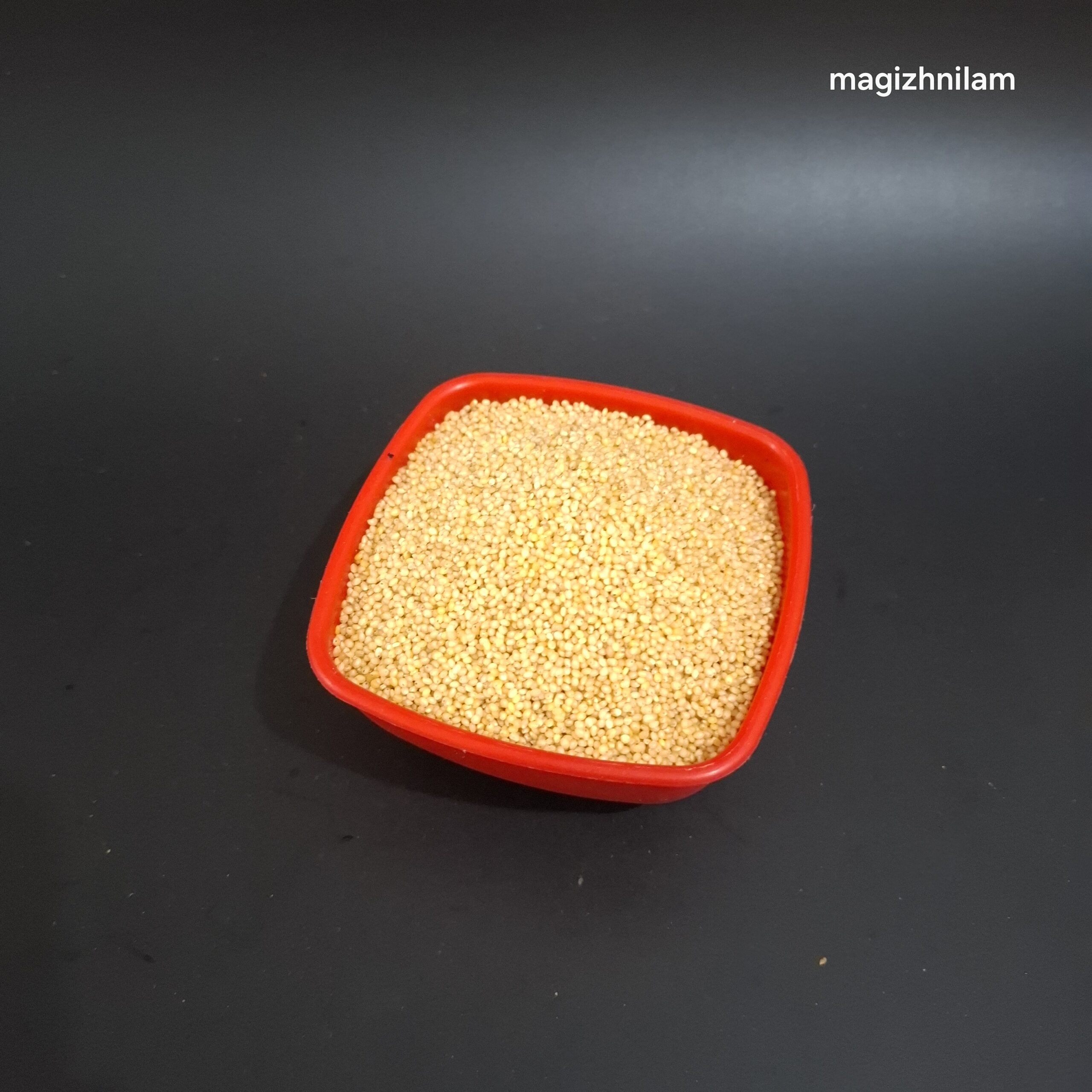 foxtail (thinai) millet