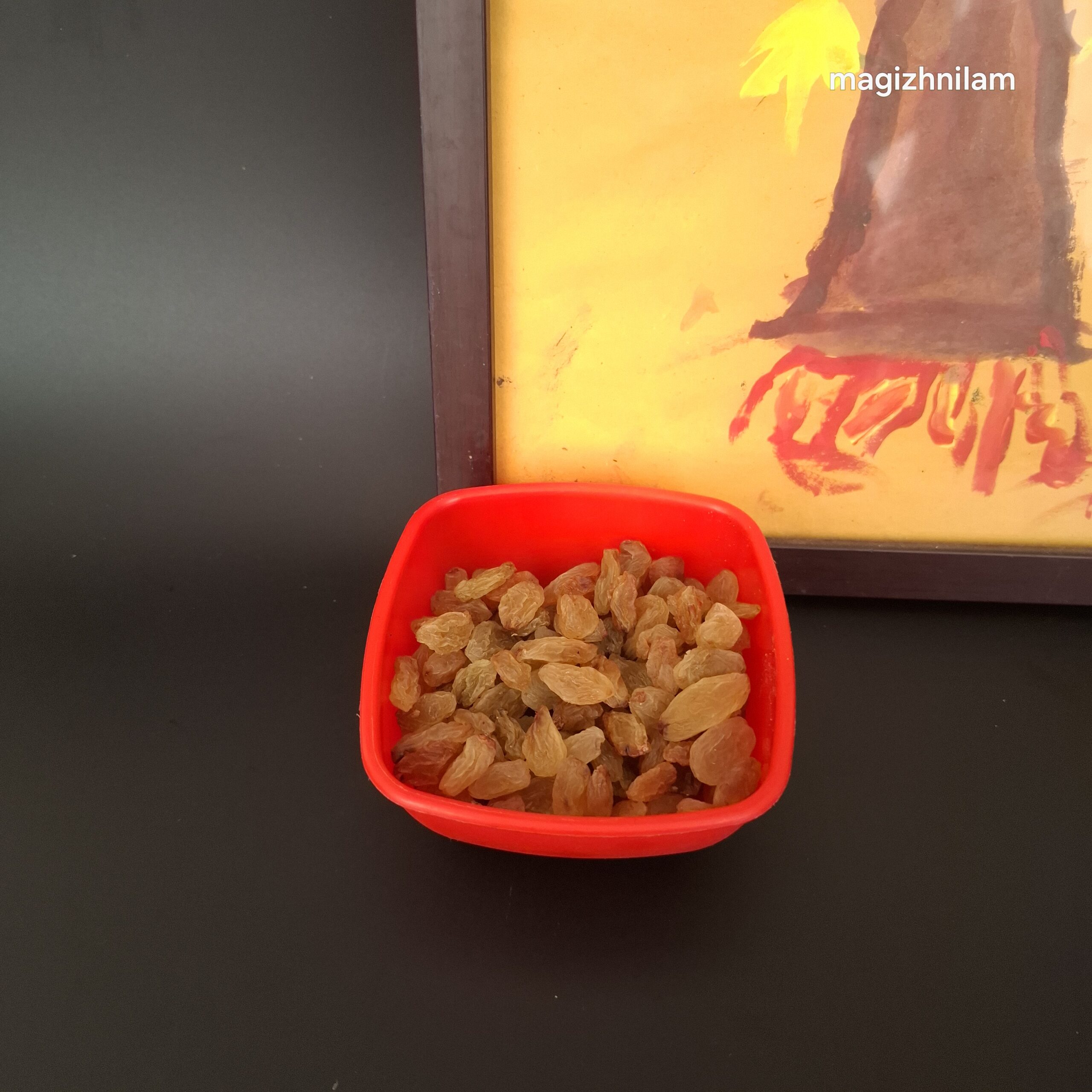 yellow raisin