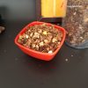 chocolate-muesli